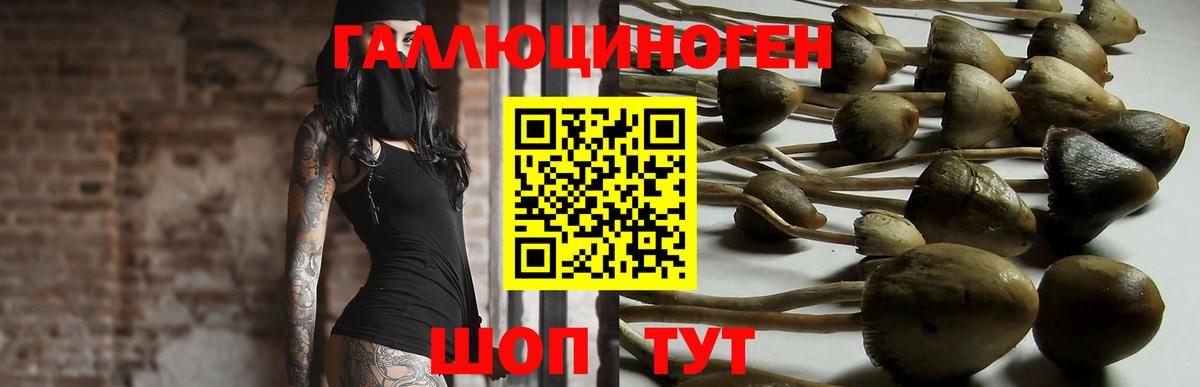 Белгород  Галлюциногенные грибы Psilocybe  Вход с VPN 