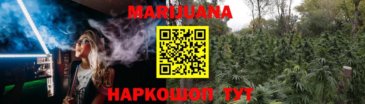 Конопля гибрид Белгород